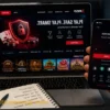 Online Casino Safety Guide: How to Spot a Secure Site Before Playing